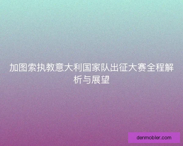 加图索执教意大利国家队出征大赛全程解析与展望
